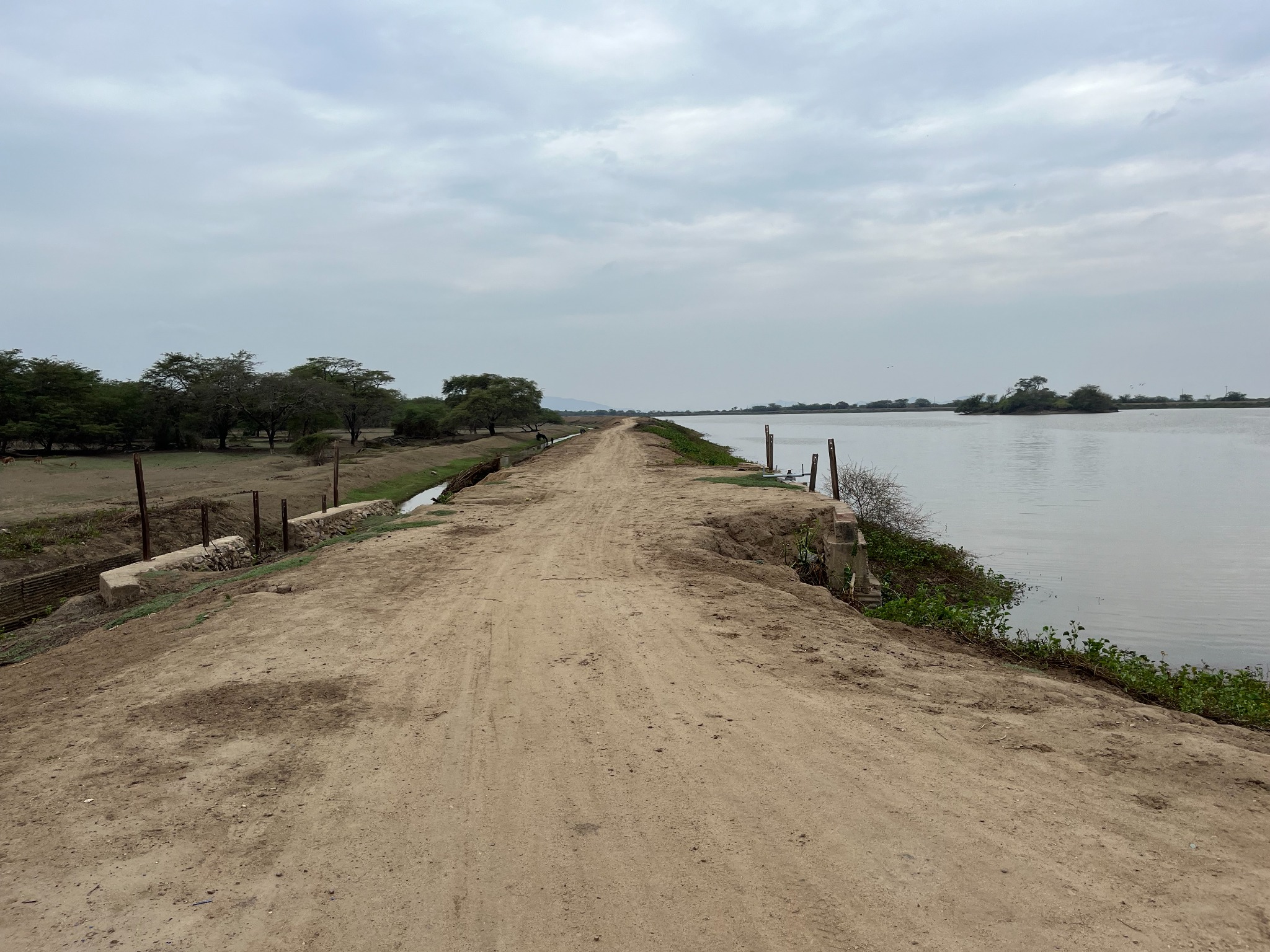Camino rural junto al agua y los árboles